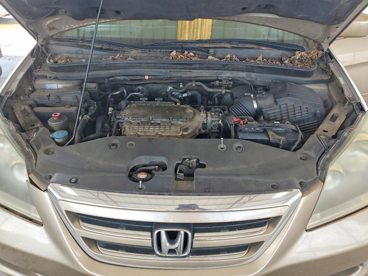2007 Honda Odyssey Exl Beige vin: 5FNRL38647B406867