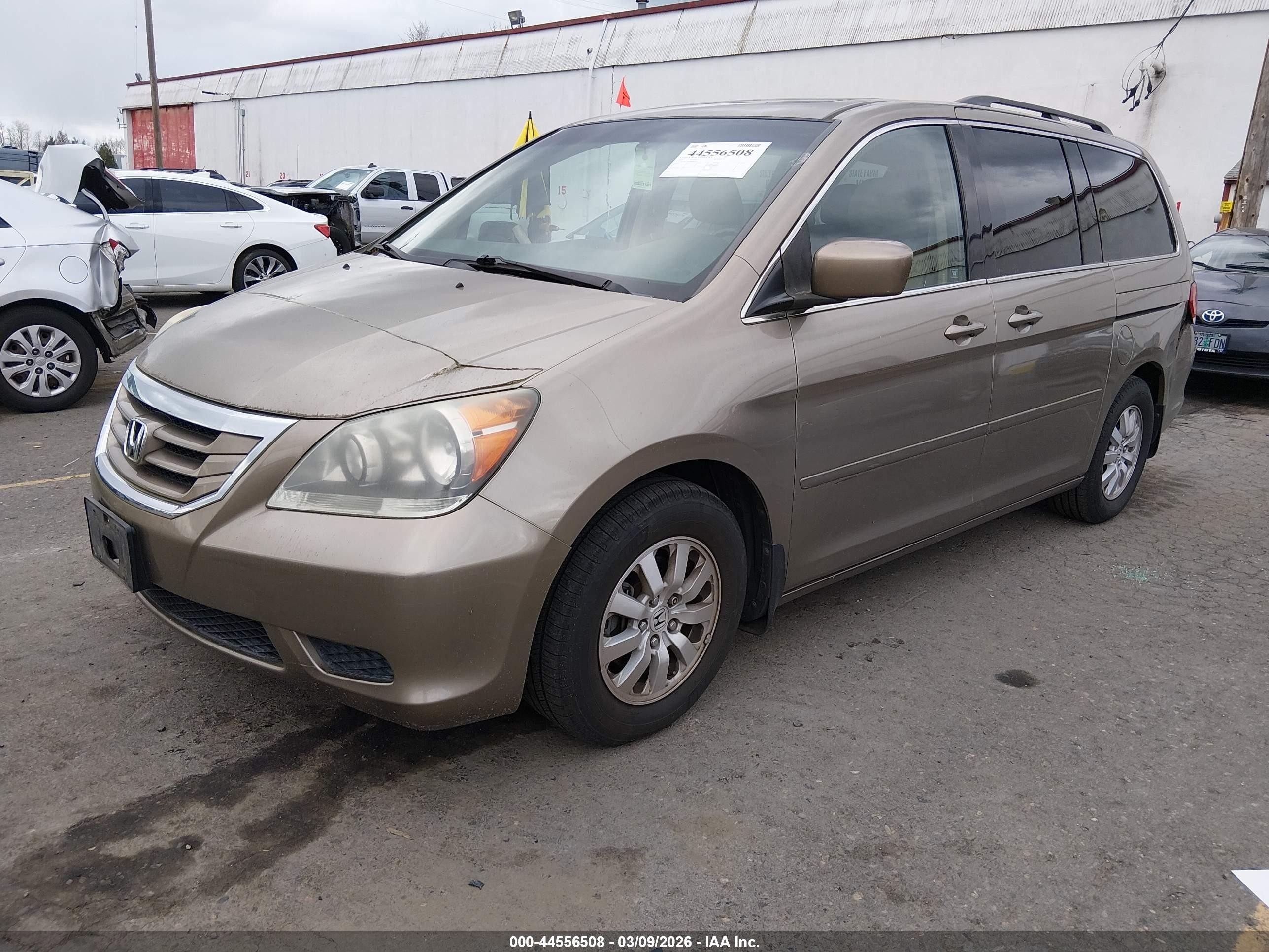 2008 Honda Odyssey Ex-l Gold vin: 5FNRL38648B407695