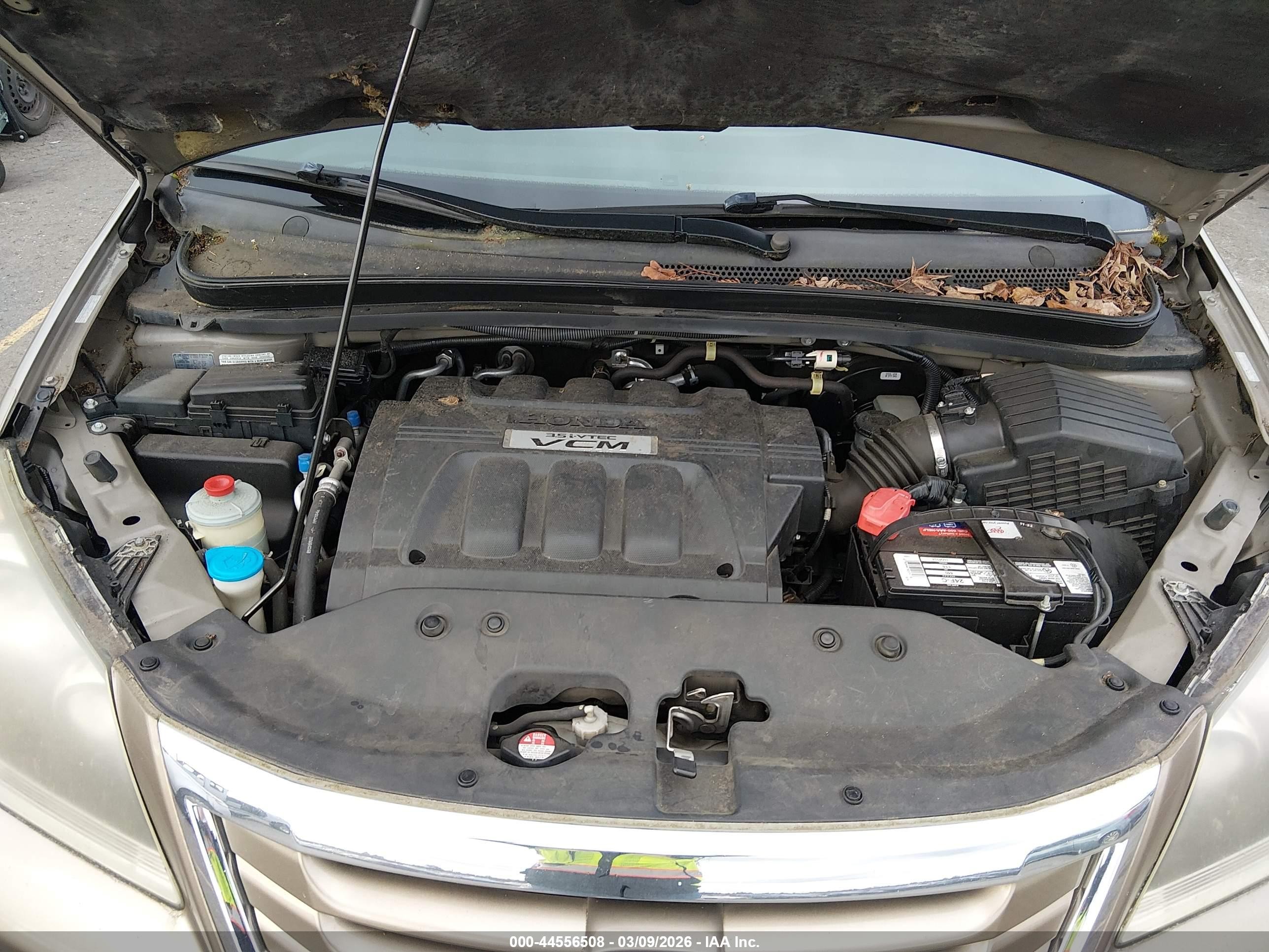 2008 Honda Odyssey Ex-l Gold vin: 5FNRL38648B407695