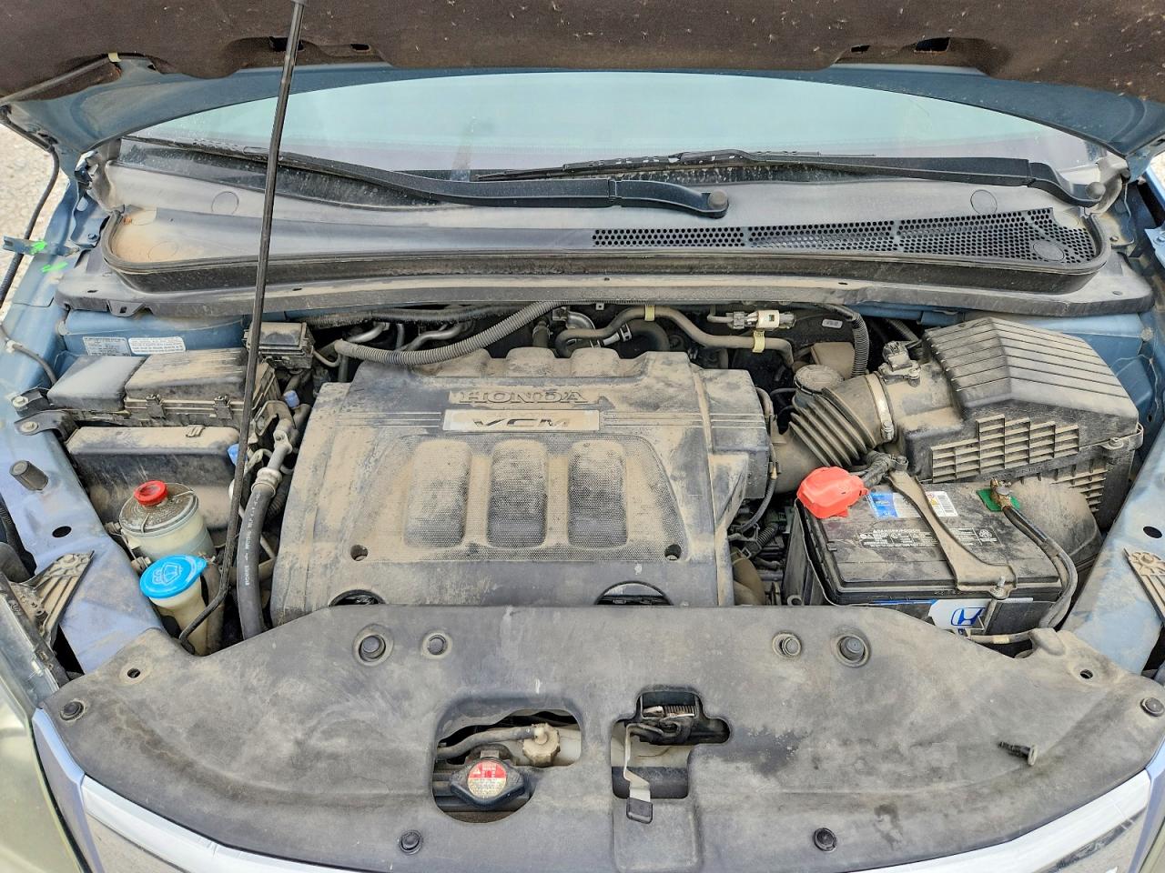 2009 Honda Odyssey Exl Blue vin: 5FNRL38649B004091