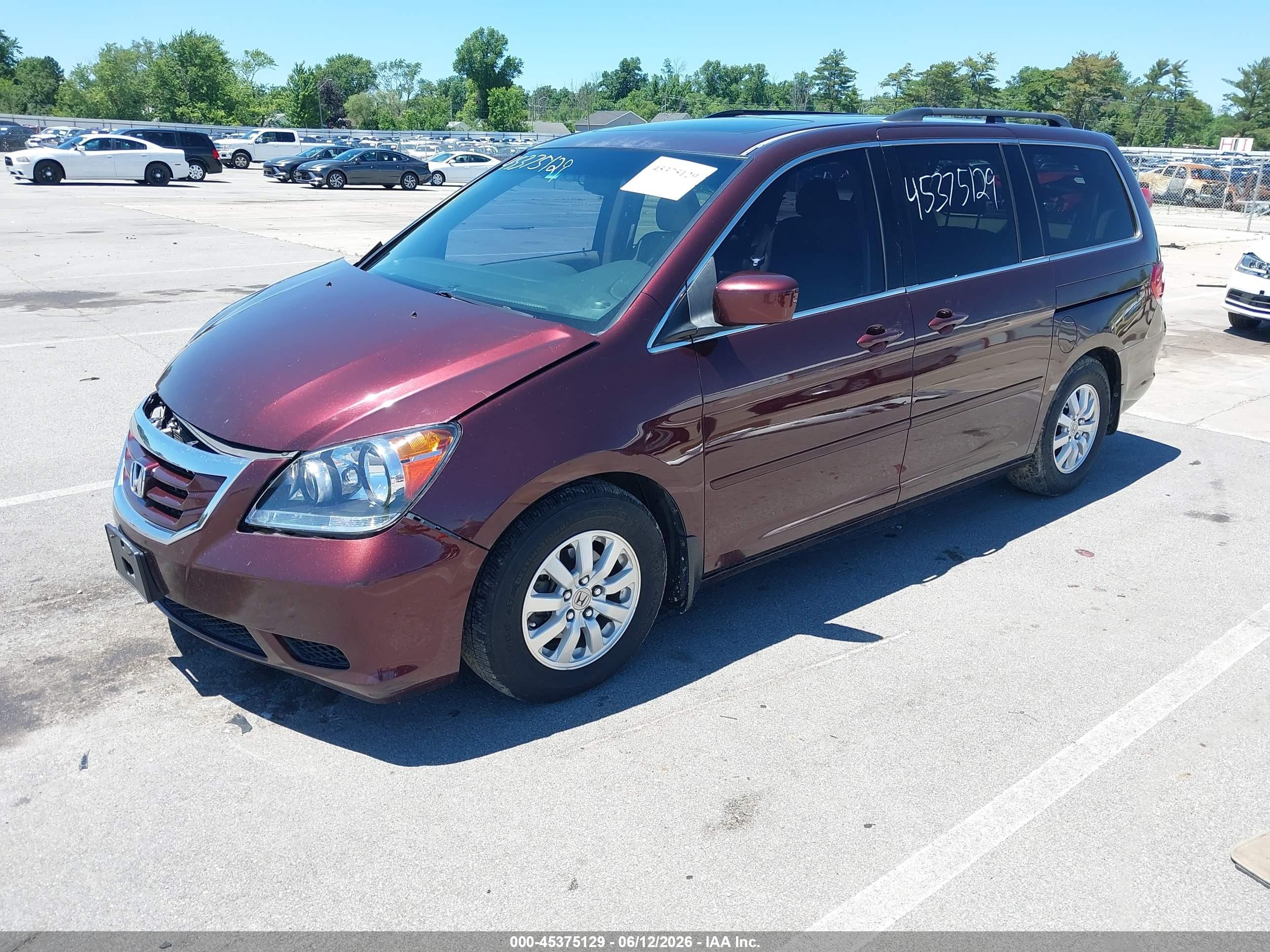 2009 Honda Odyssey Ex-l Burgundy vin: 5FNRL38649B402417