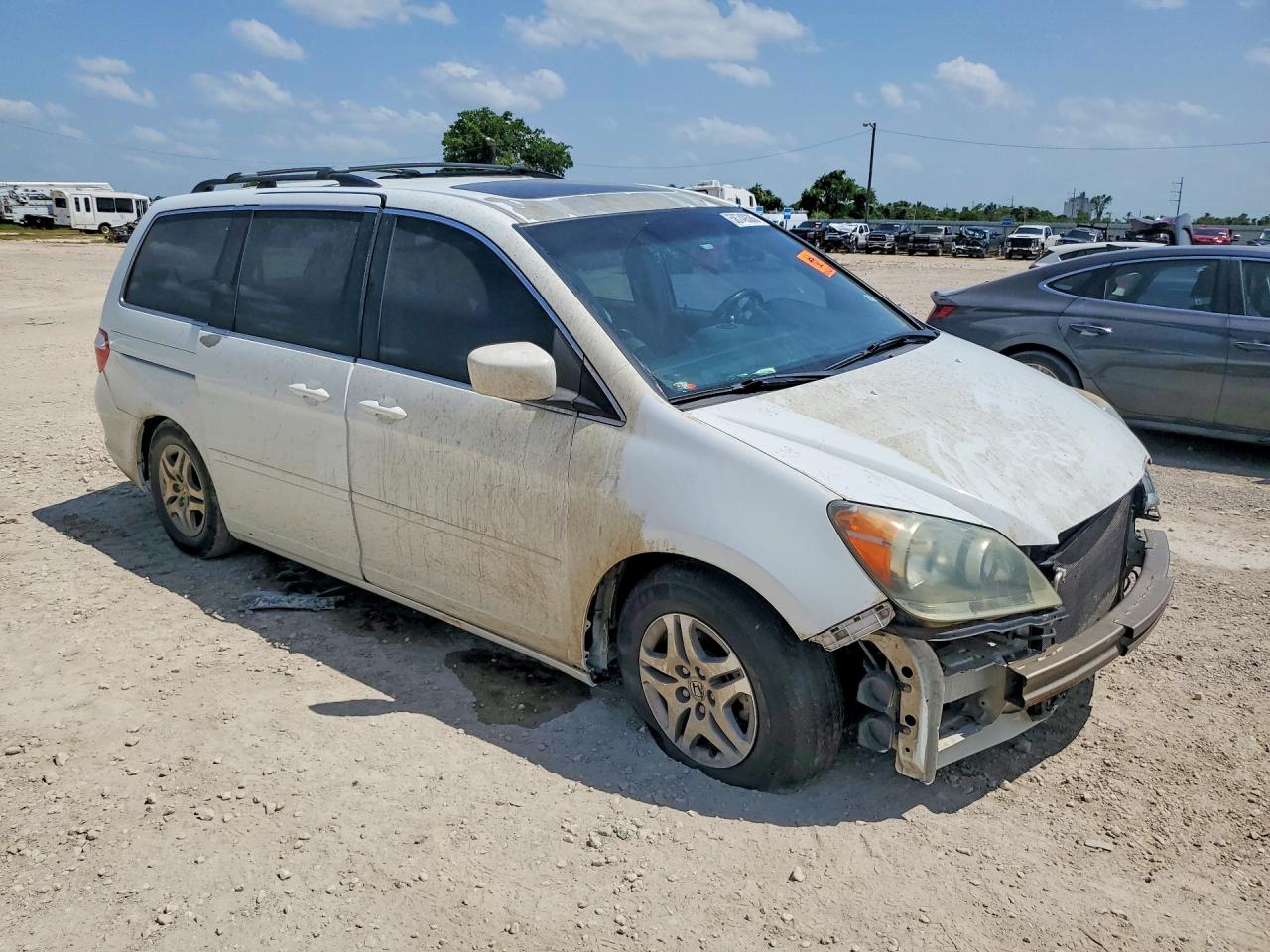 2006 Honda Odyssey Exl White vin: 5FNRL38656B402499