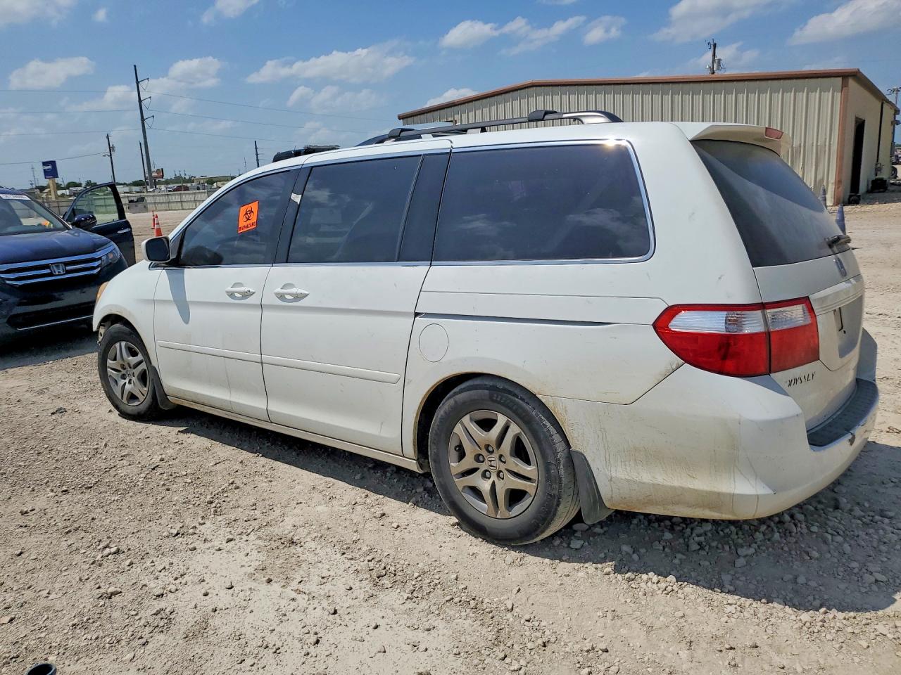 2006 Honda Odyssey Exl White vin: 5FNRL38656B402499
