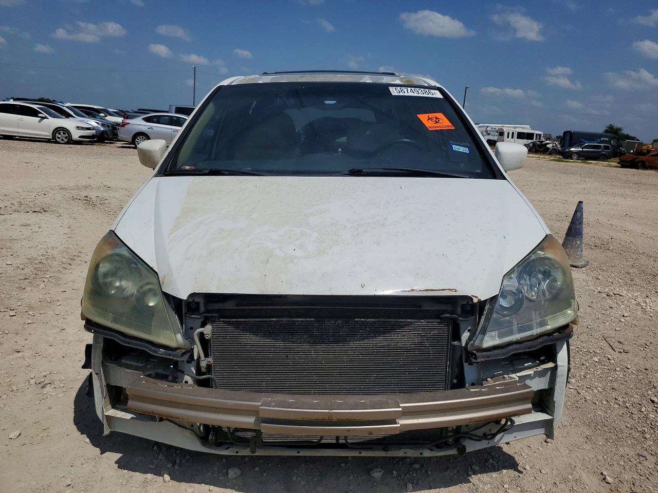 2006 Honda Odyssey Exl White vin: 5FNRL38656B402499