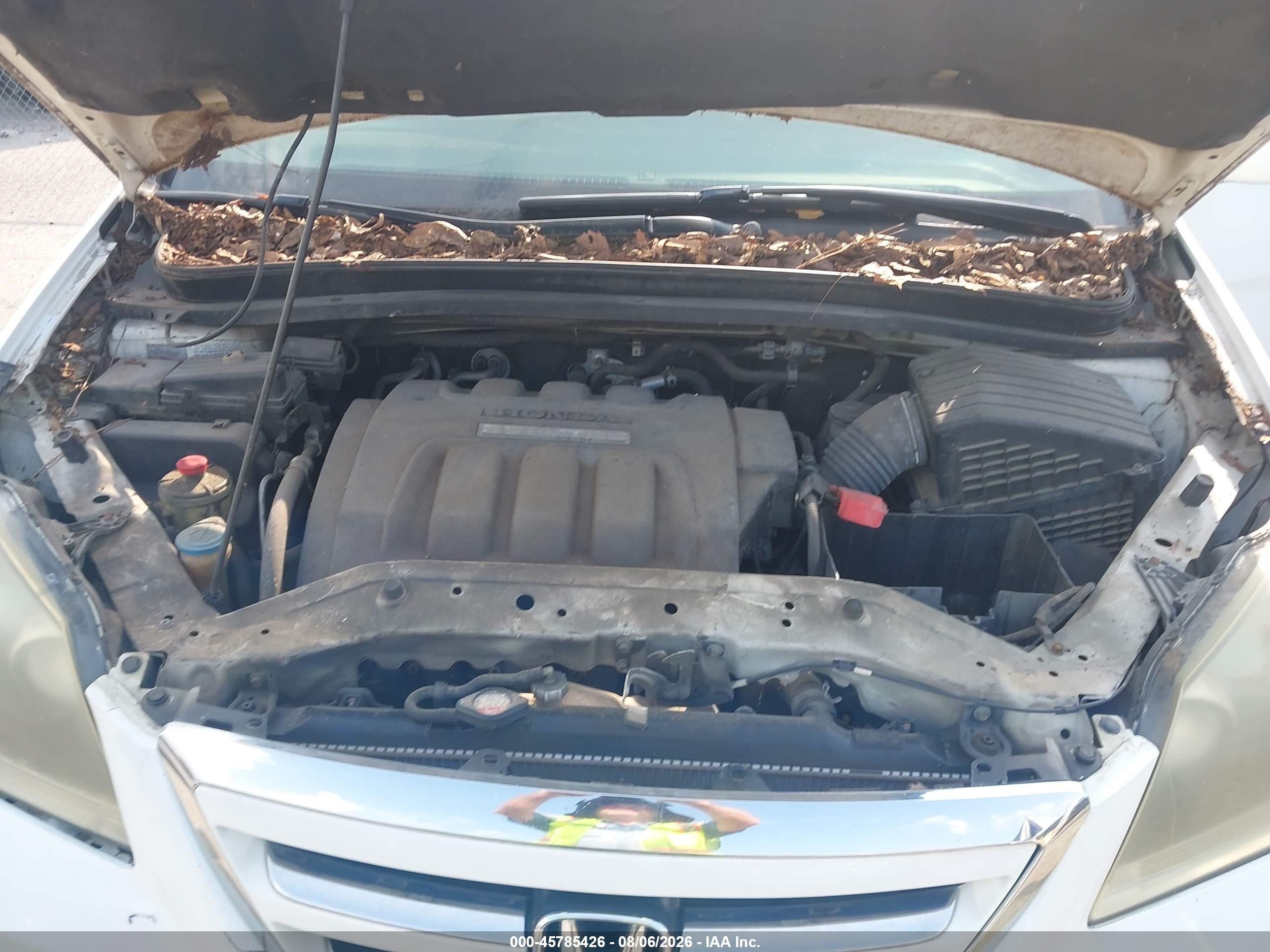 2006 Honda Odyssey Ex-l White vin: 5FNRL38656B402518