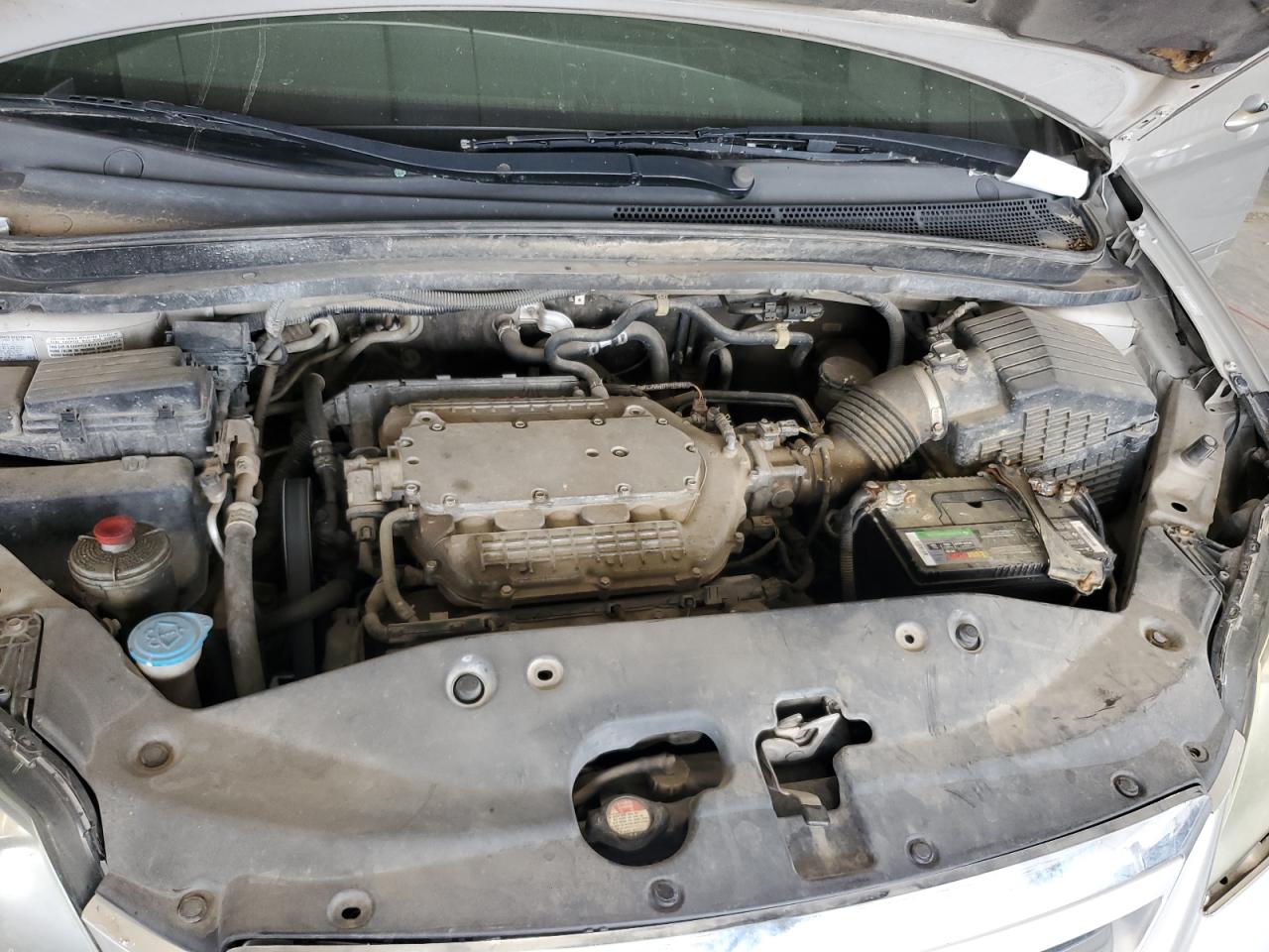 2007 Honda Odyssey Exl Tan vin: 5FNRL38657B424200