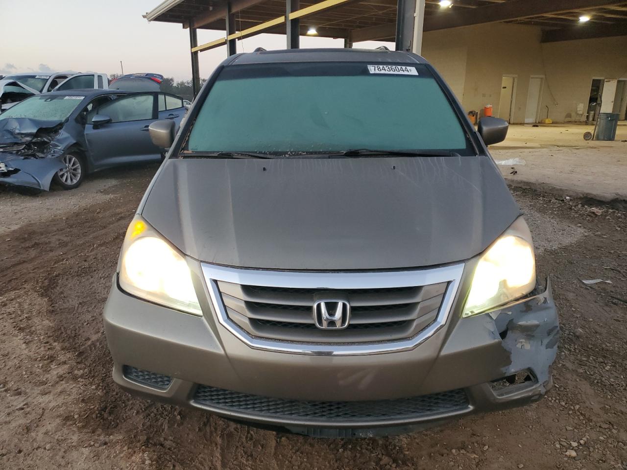 2009 Honda Odyssey Exl Gold vin: 5FNRL38659B408517