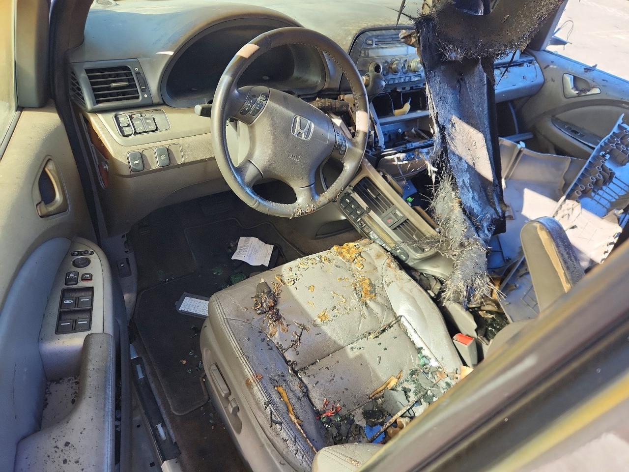 2009 Honda Odyssey Exl Silver vin: 5FNRL38659B409974
