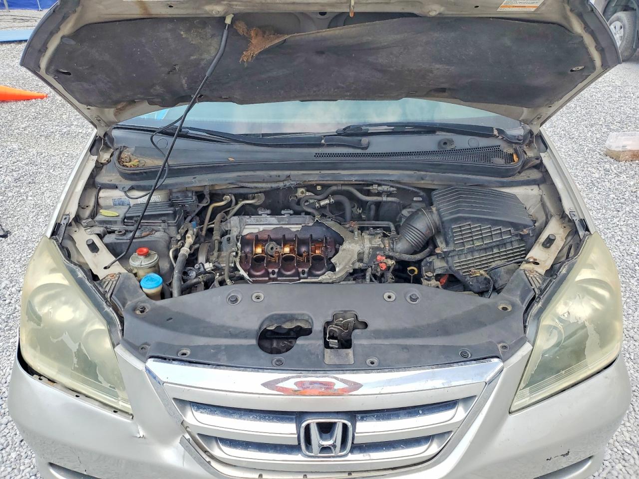 2006 Honda Odyssey Exl Tan vin: 5FNRL38666B406450
