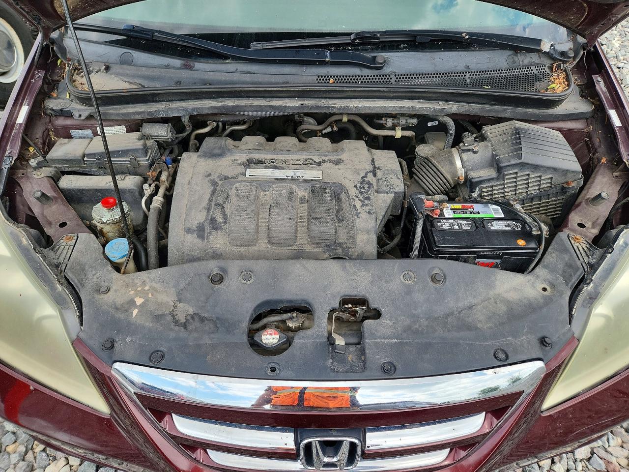 2007 Honda Odyssey Exl Burgundy vin: 5FNRL38667B437876