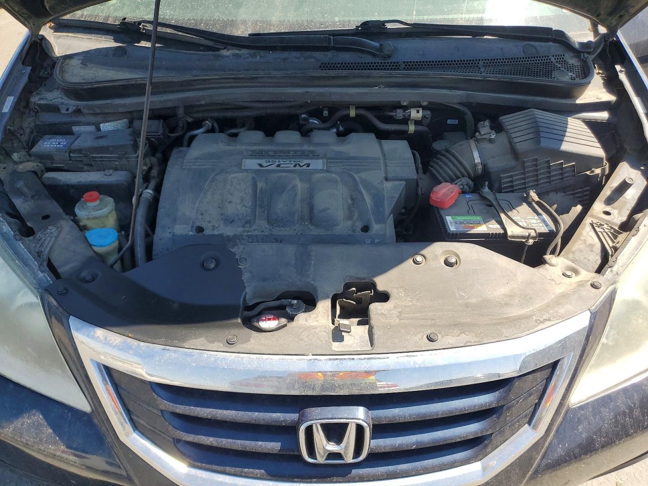 2009 Honda Odyssey Exl Gray vin: 5FNRL38669B406632