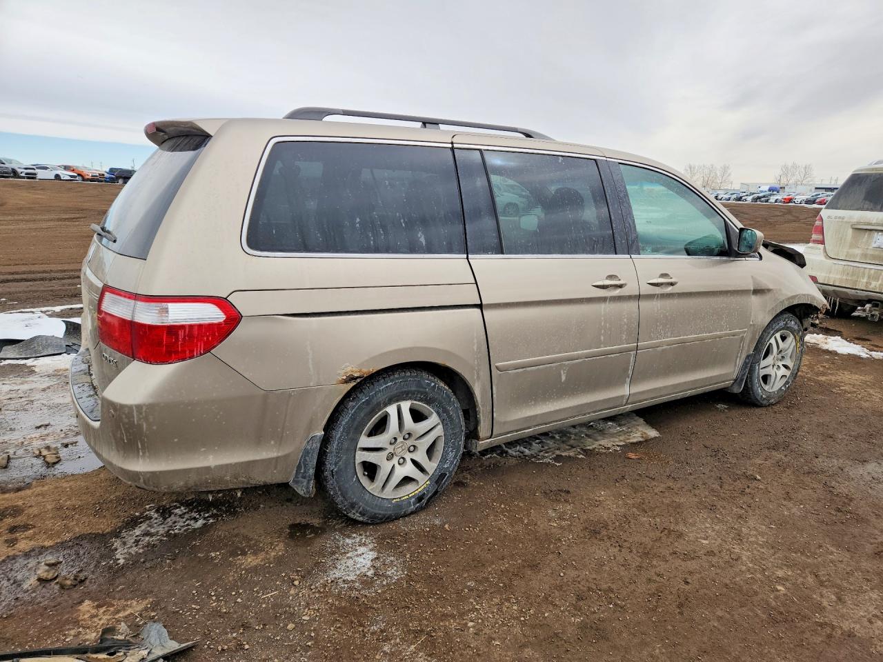 2005 Honda Odyssey Ex-l Gold vin: 5FNRL38675B505180