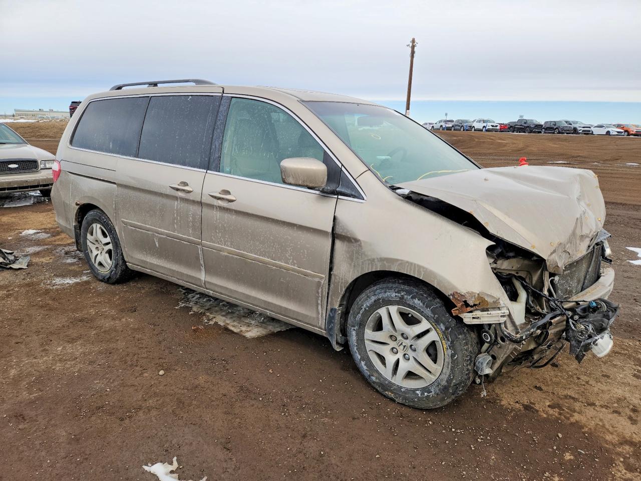 2005 Honda Odyssey Ex-l Gold vin: 5FNRL38675B505180