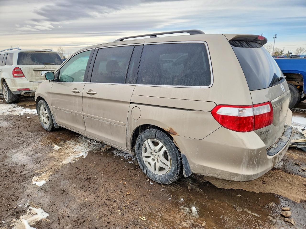 2005 Honda Odyssey Ex-l Gold vin: 5FNRL38675B505180