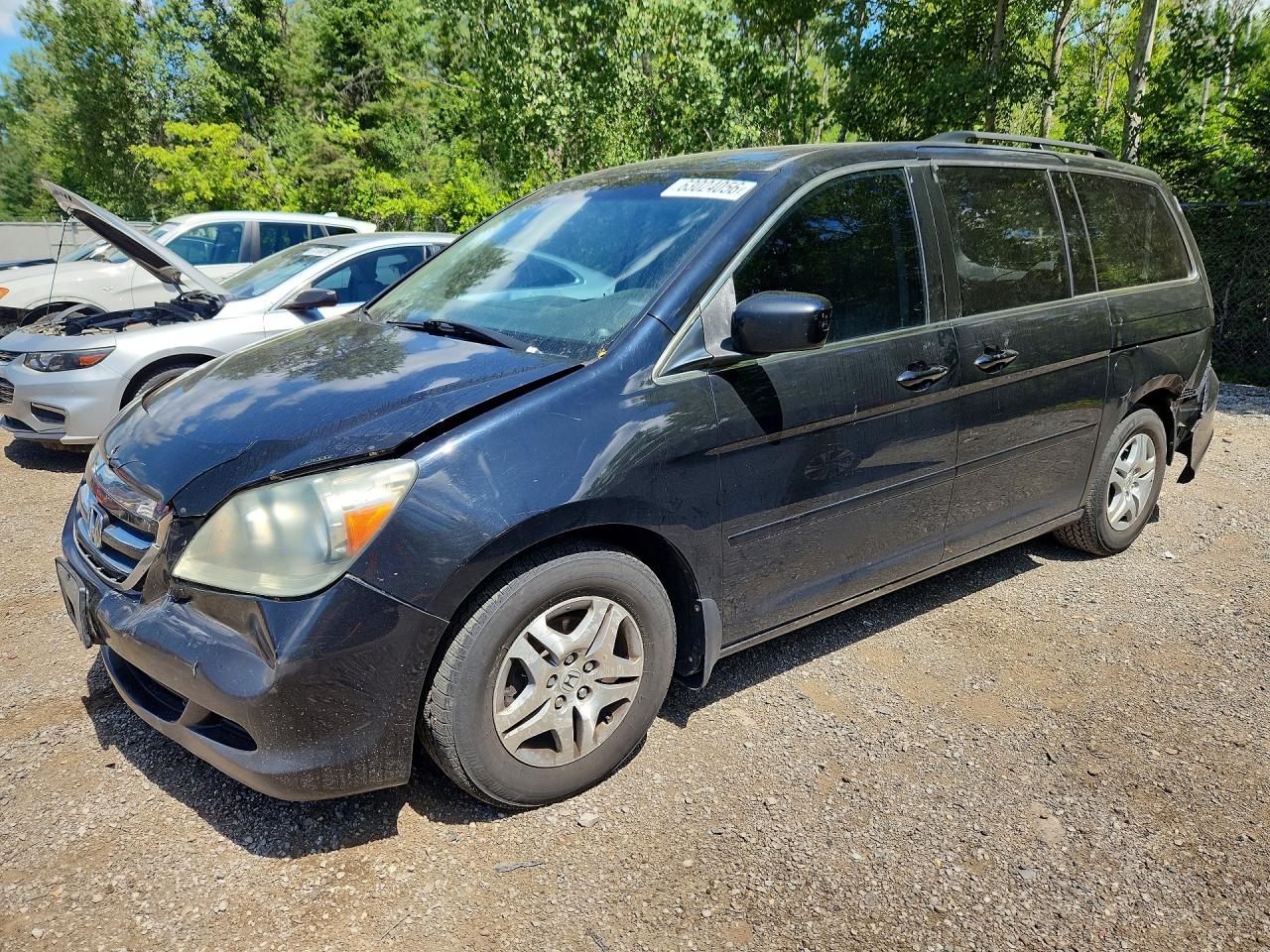 2007 Honda Odyssey Exl Черный vin: 5FNRL38677B503545
