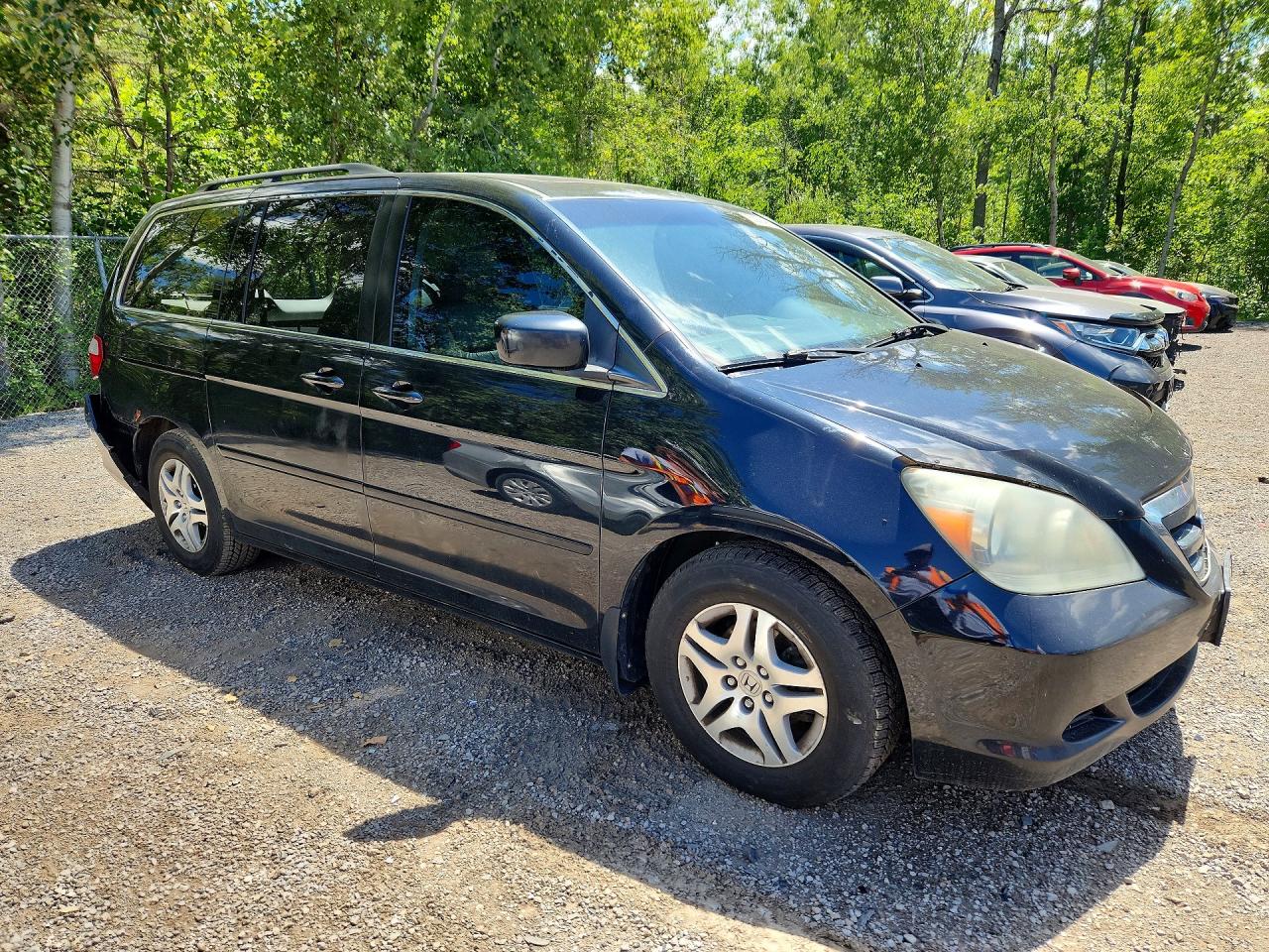 2007 Honda Odyssey Exl Черный vin: 5FNRL38677B503545