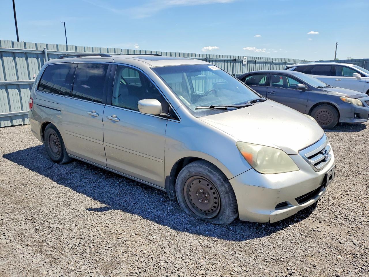 2005 Honda Odyssey Exl Бежевый vin: 5FNRL38685B511277