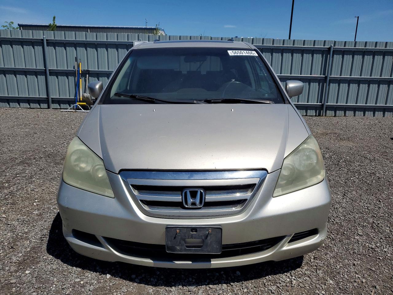 2005 Honda Odyssey Exl Бежевый vin: 5FNRL38685B511277