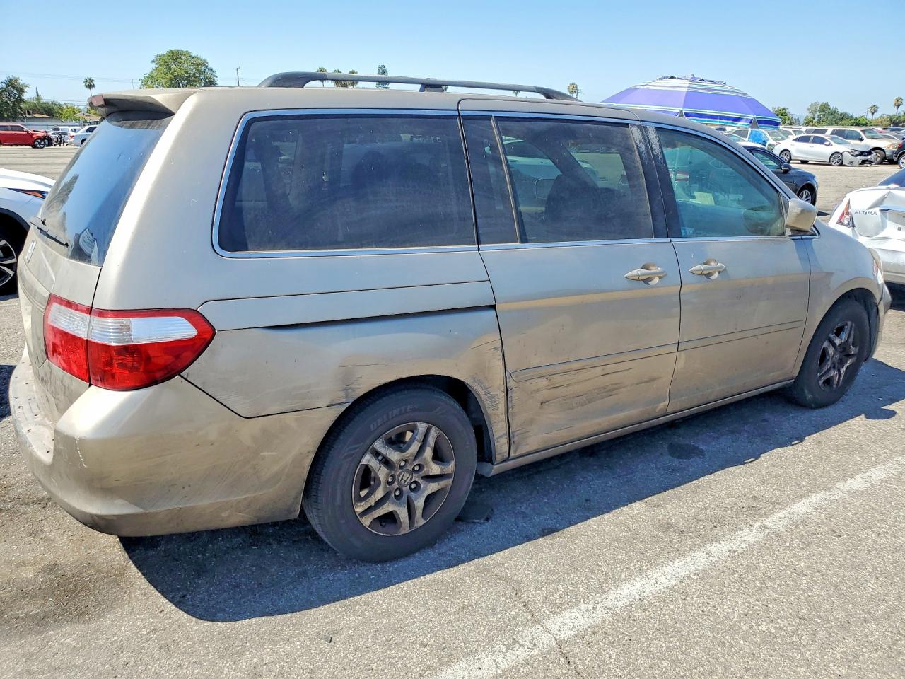 2006 Honda Odyssey Exl Gray vin: 5FNRL38696B455058