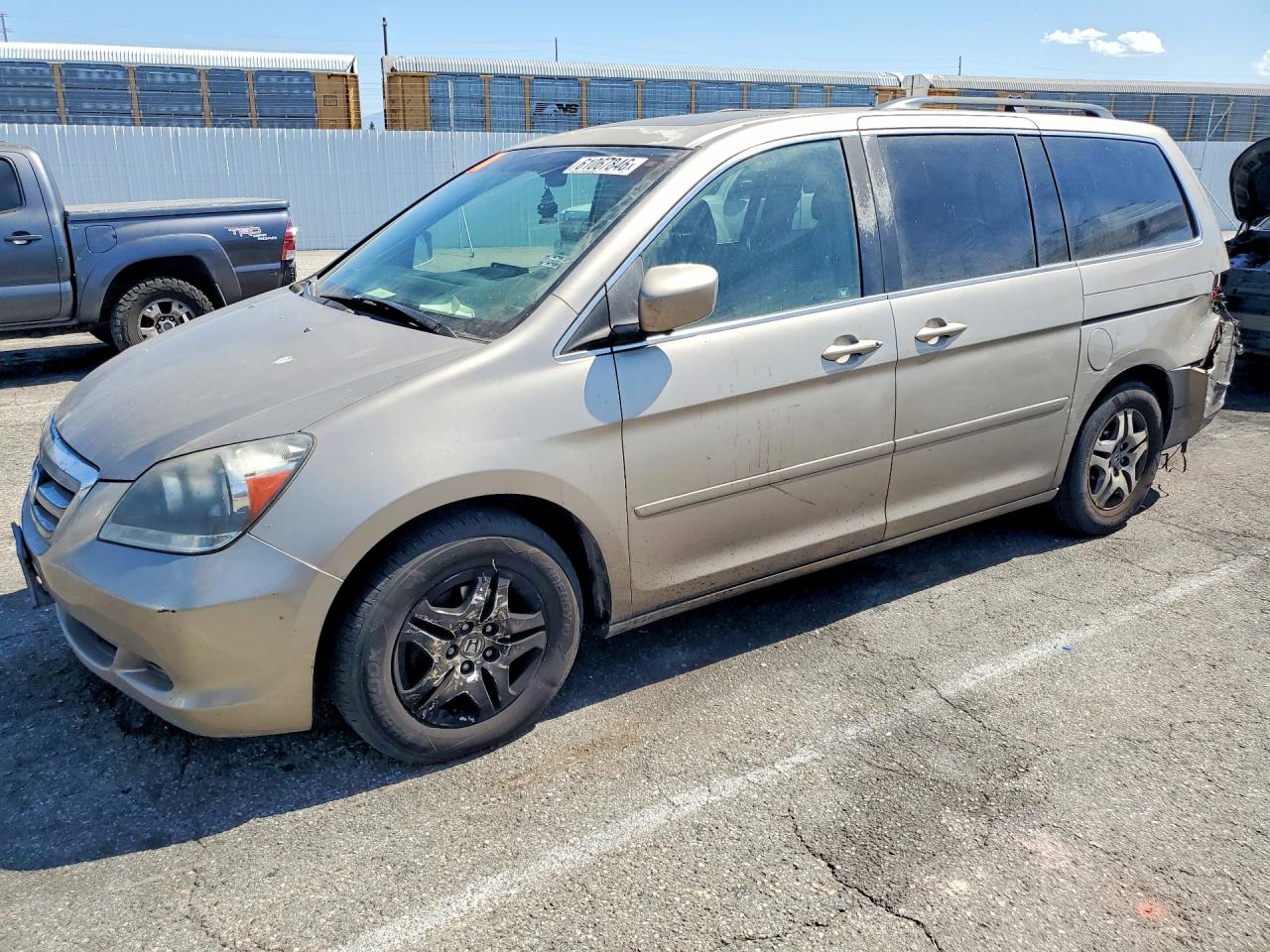 2006 Honda Odyssey Exl Gray vin: 5FNRL38696B455058