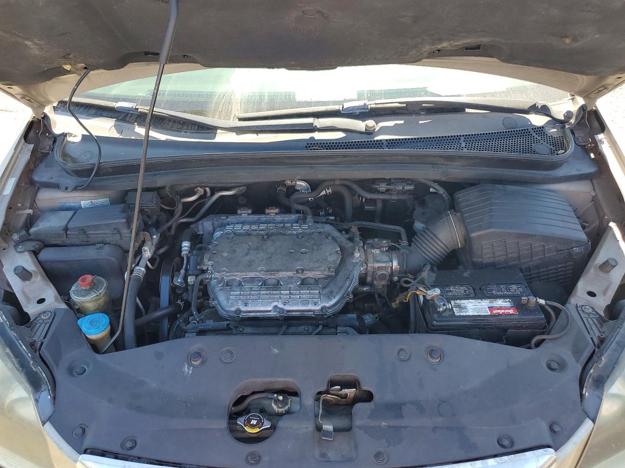 2006 Honda Odyssey Exl Gray vin: 5FNRL38696B455058