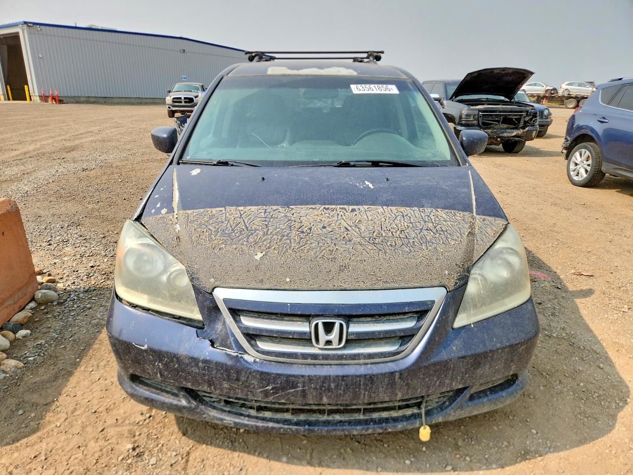 2007 Honda Odyssey Exl Blue vin: 5FNRL38697B502381