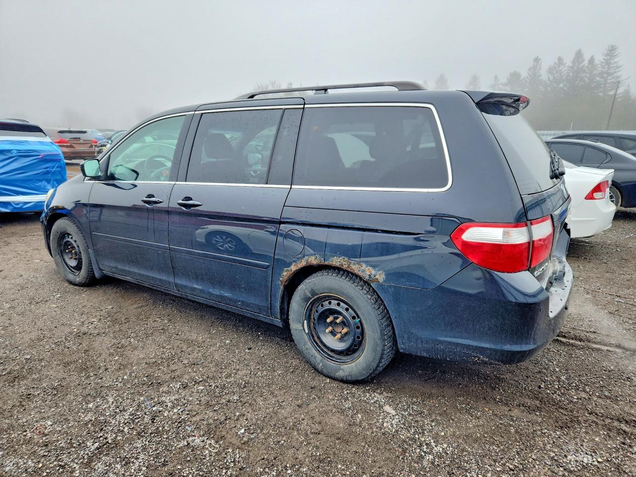 2007 Honda Odyssey Exl Black vin: 5FNRL38697B506088