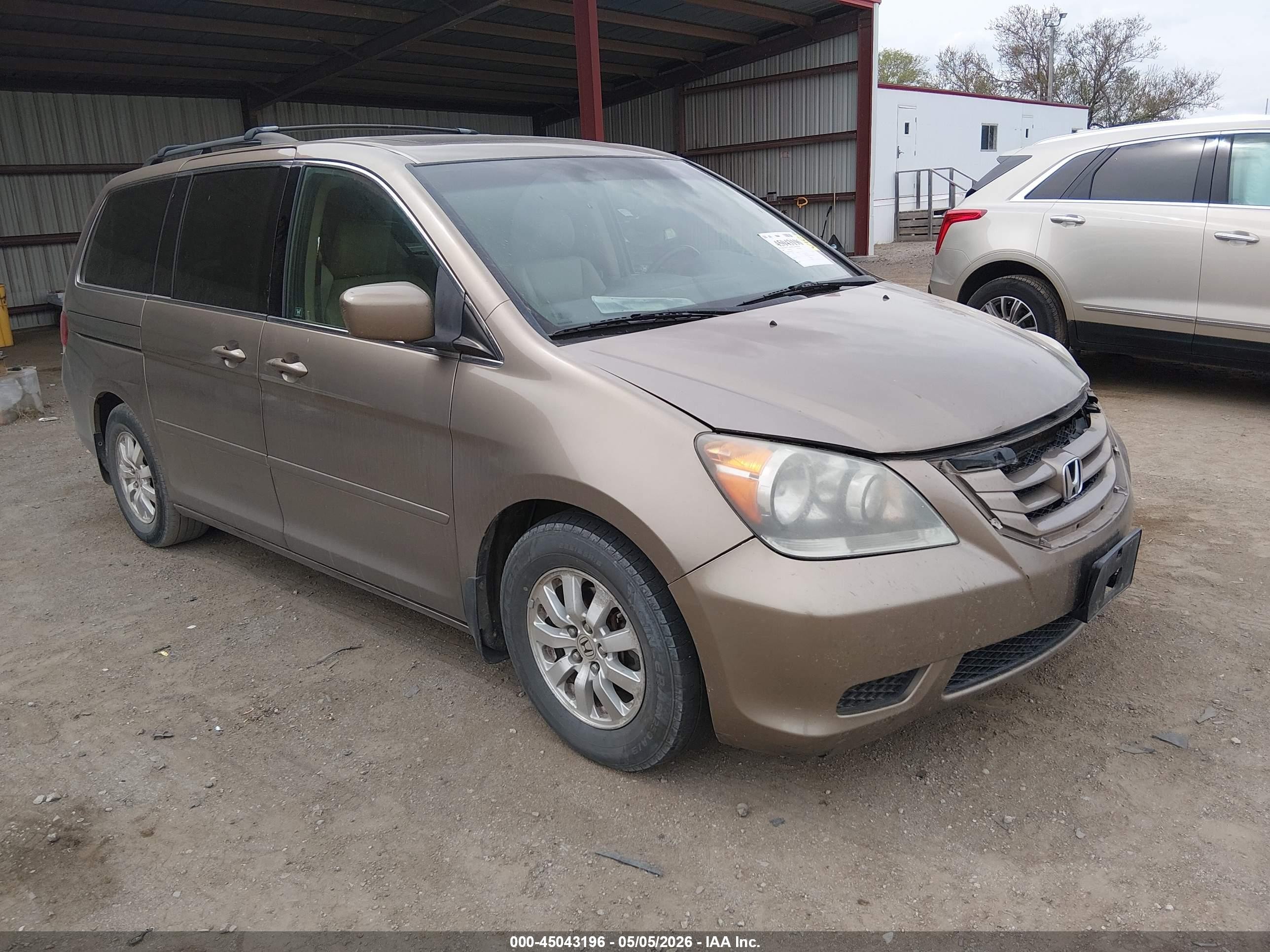 2009 Honda Odyssey Ex-l Gold vin: 5FNRL38699B025731