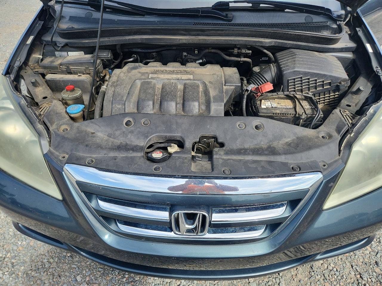 2005 Honda Odyssey Exl Blue vin: 5FNRL386X5B411245