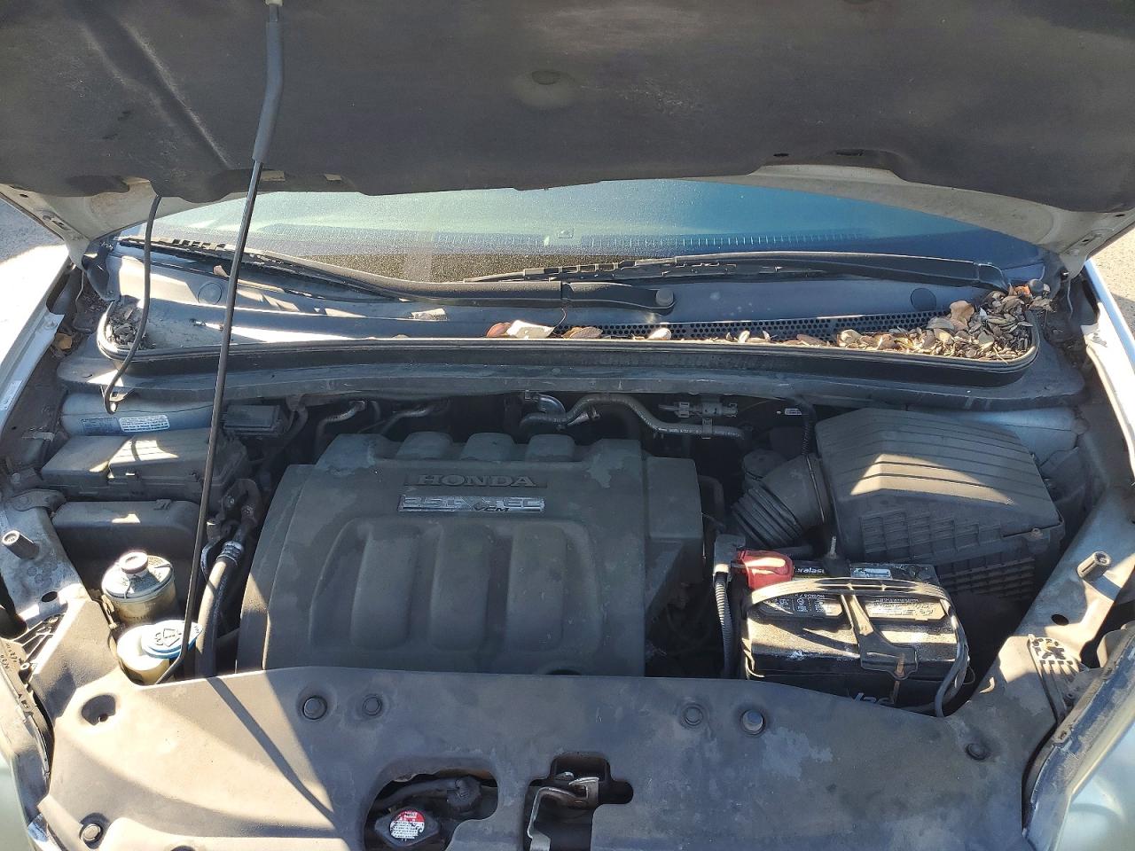 2006 Honda Odyssey Exl Blue vin: 5FNRL386X6B097033