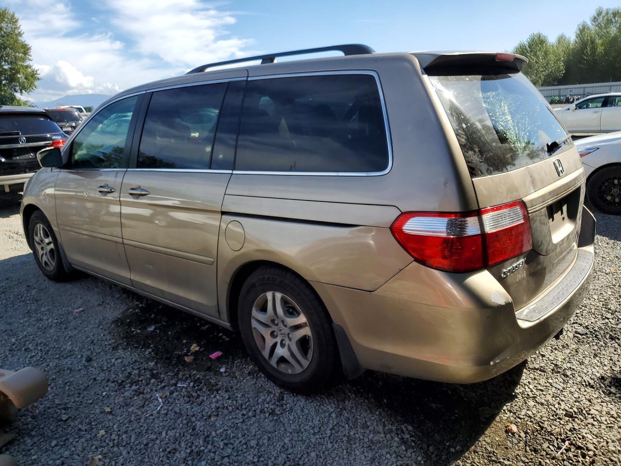 2006 Honda Odyssey Exl Желто-коричневый vin: 5FNRL386X6B458731