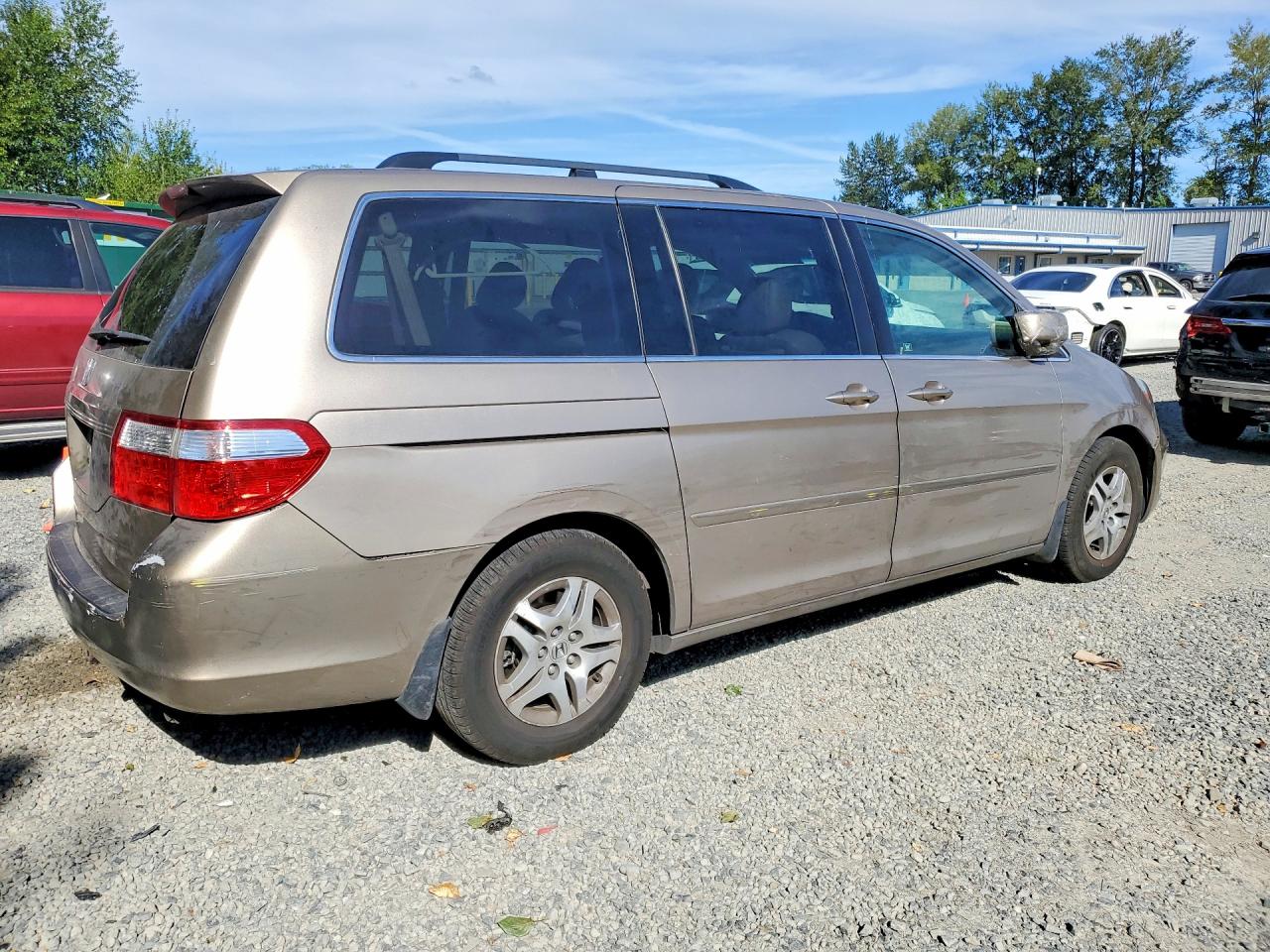 2006 Honda Odyssey Exl Желто-коричневый vin: 5FNRL386X6B458731