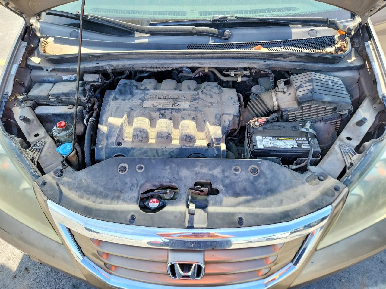 2008 Honda Odyssey Exl Gold vin: 5FNRL386X8B419236