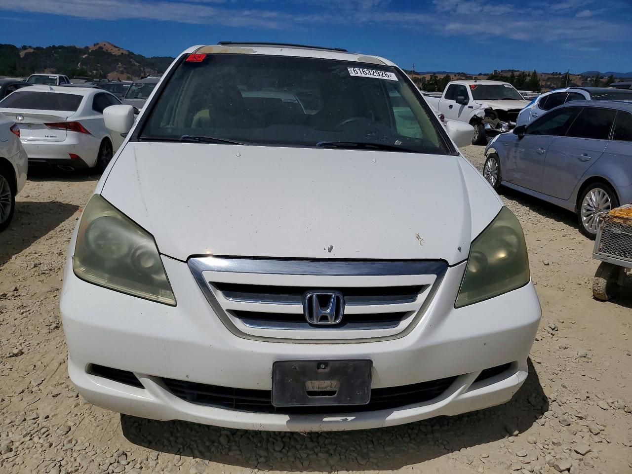 2005 Honda Odyssey Exl White vin: 5FNRL38705B019996