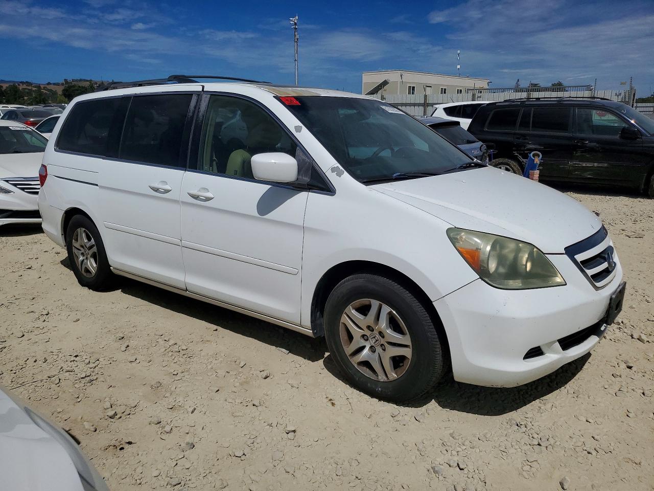 2005 Honda Odyssey Exl White vin: 5FNRL38705B019996