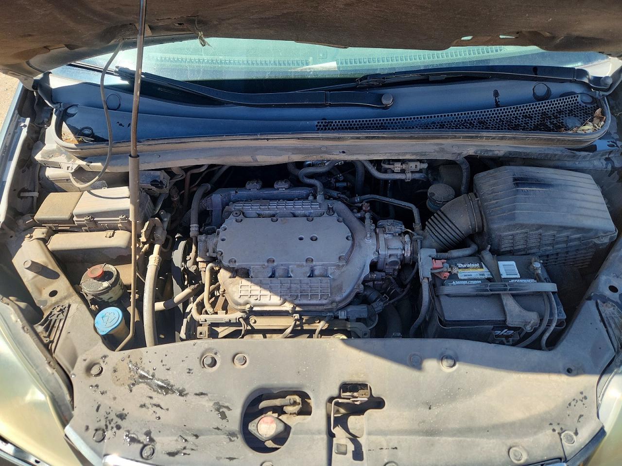 2006 Honda Odyssey Exl Blue vin: 5FNRL38706B055575