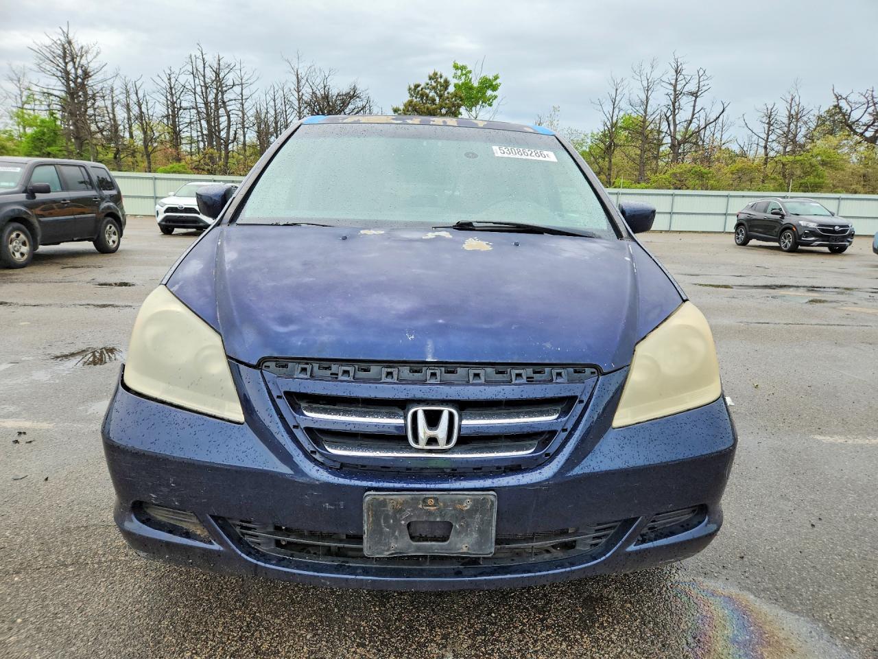 2006 Honda Odyssey Exl Синий vin: 5FNRL38706B121946