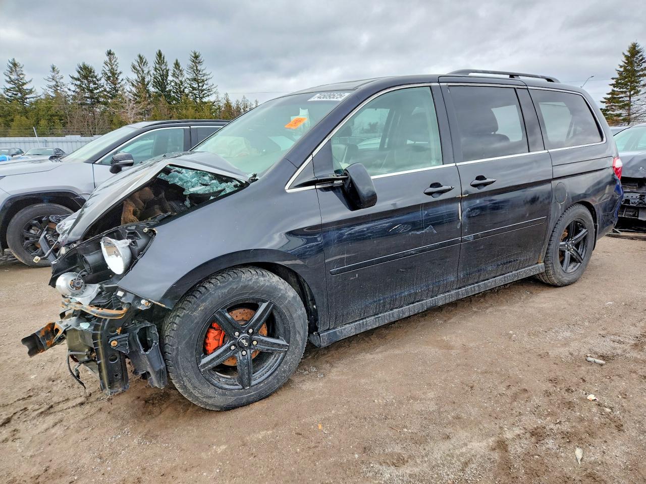 2006 Honda Odyssey Exl Black vin: 5FNRL38706B507511