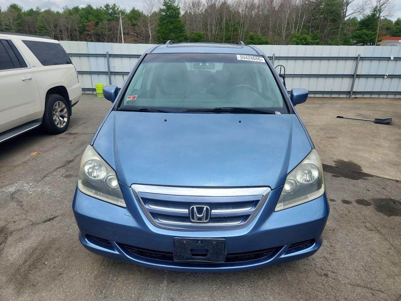 2007 Honda Odyssey Exl Blue vin: 5FNRL38707B067016