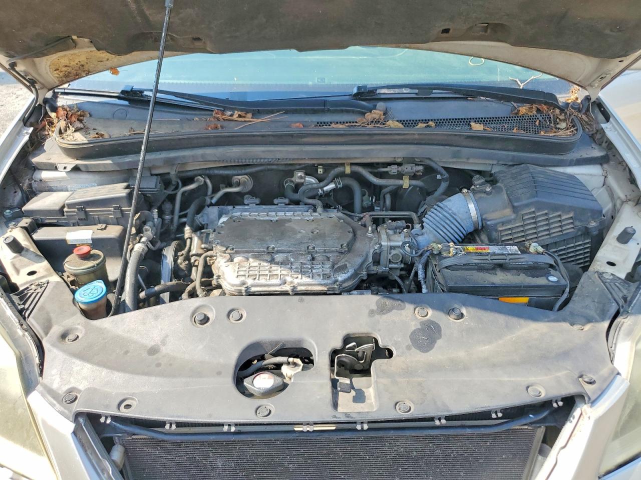 2007 Honda Odyssey Exl Silver vin: 5FNRL38707B073902