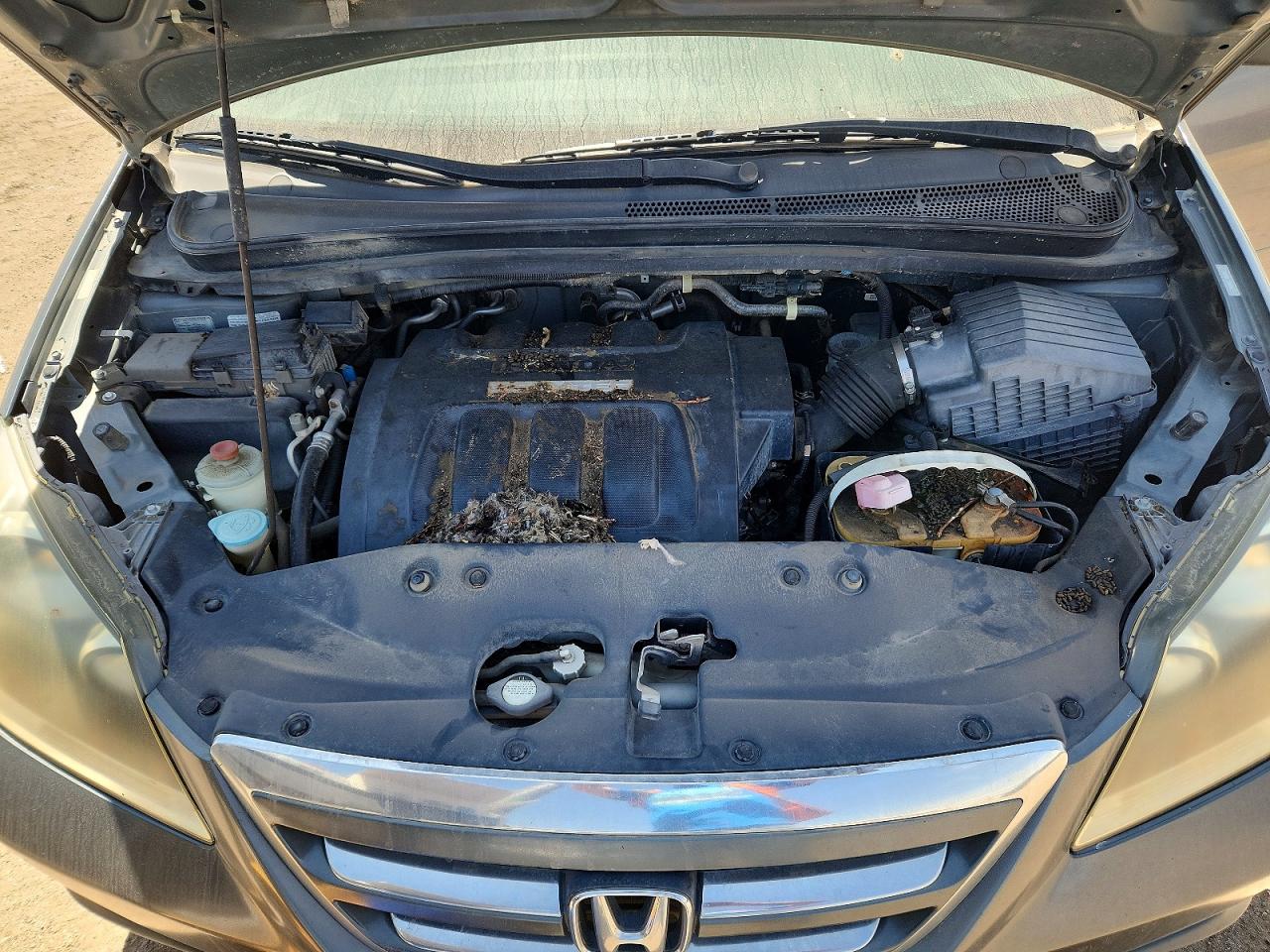 2007 Honda Odyssey Exl Gray vin: 5FNRL38707B426249