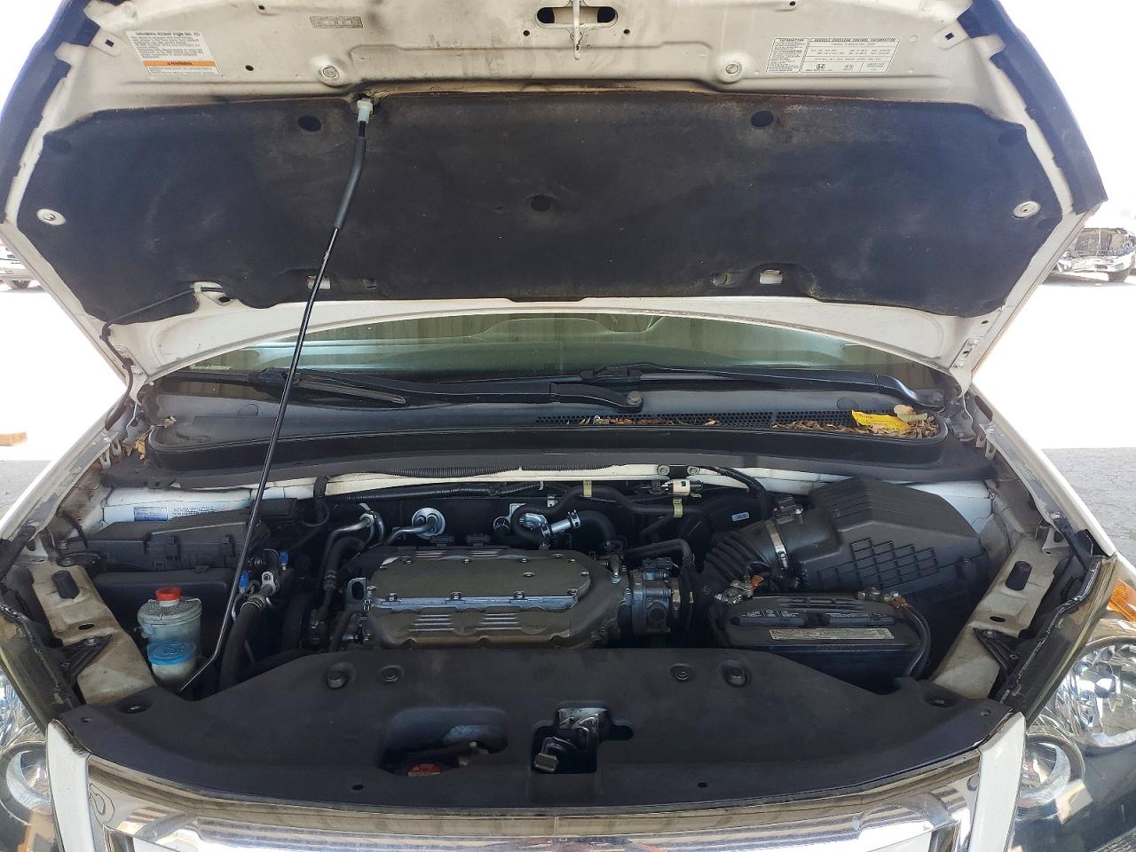 2009 Honda Odyssey Exl White vin: 5FNRL38709B000595