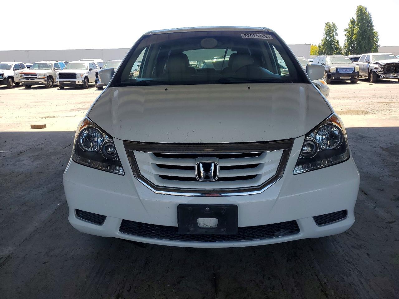 2009 Honda Odyssey Exl White vin: 5FNRL38709B000595