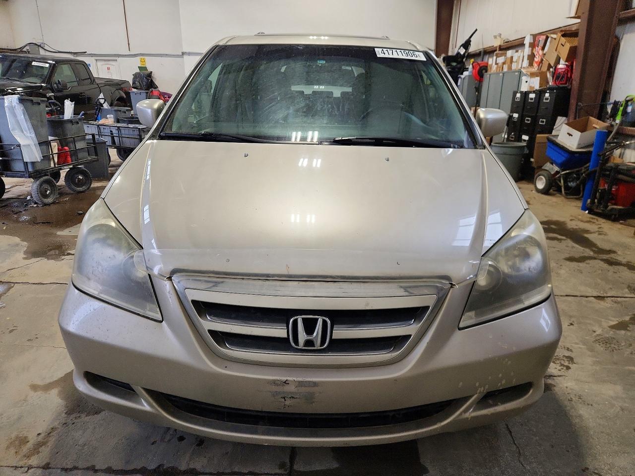 2006 Honda Odyssey Exl Cream vin: 5FNRL38716B503709