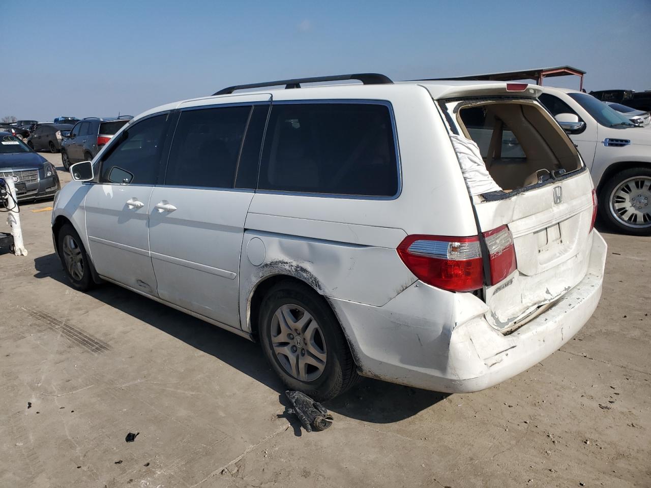 2007 Honda Odyssey Exl White vin: 5FNRL38717B141611