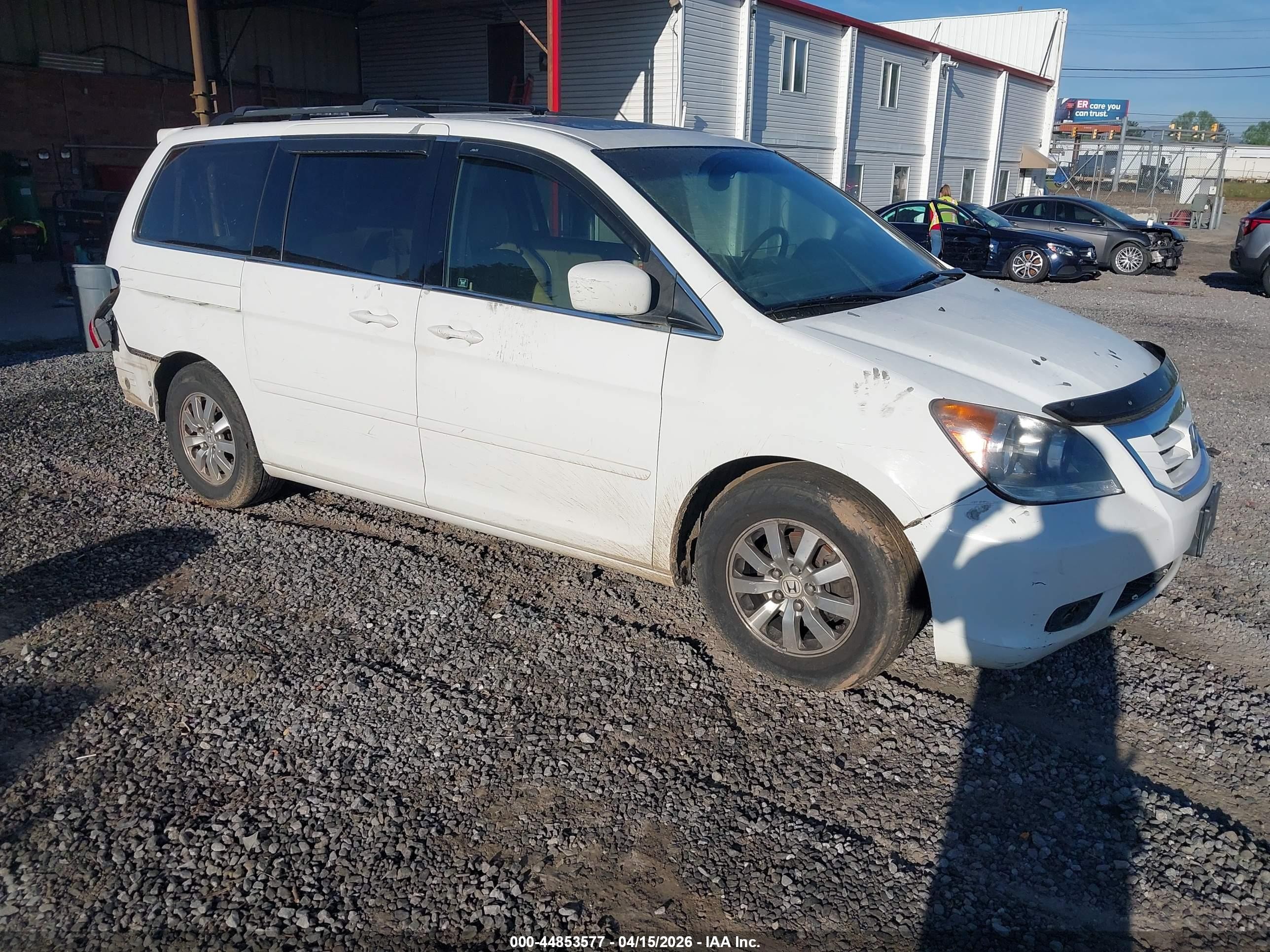 2008 Honda Odyssey Ex-l White vin: 5FNRL38718B007859