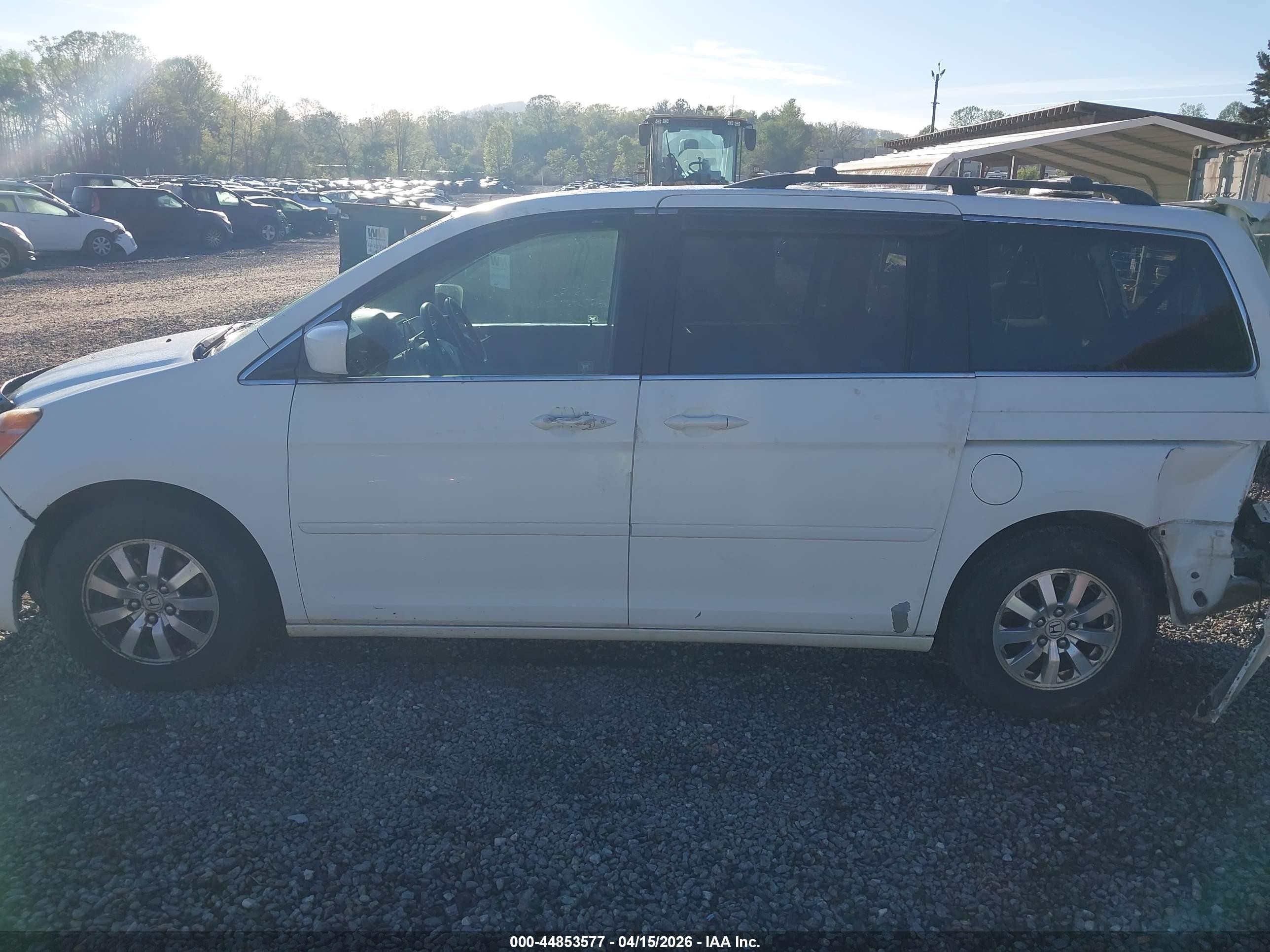 2008 Honda Odyssey Ex-l White vin: 5FNRL38718B007859