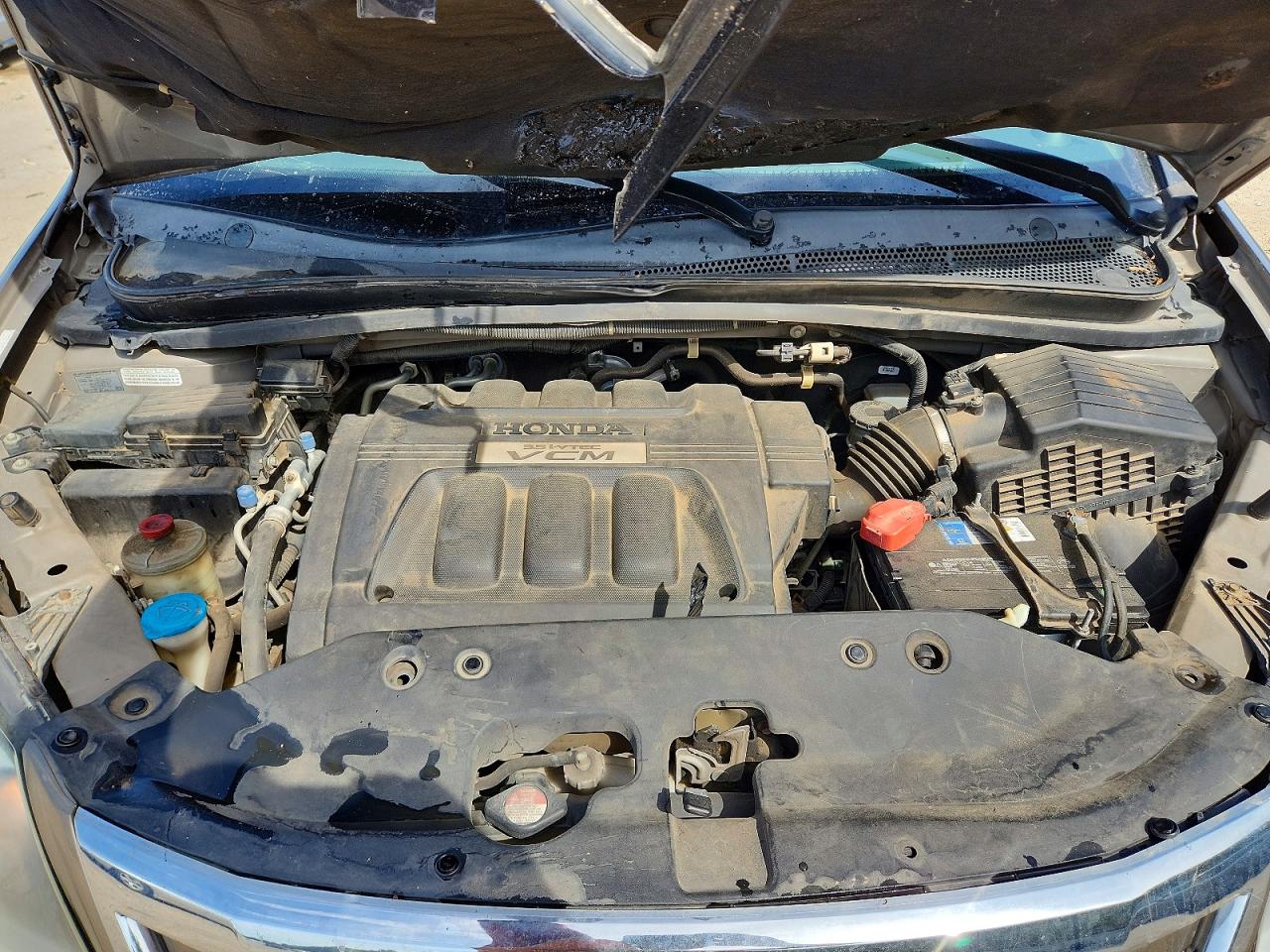 2008 Honda Odyssey Exl Gold vin: 5FNRL38718B080164