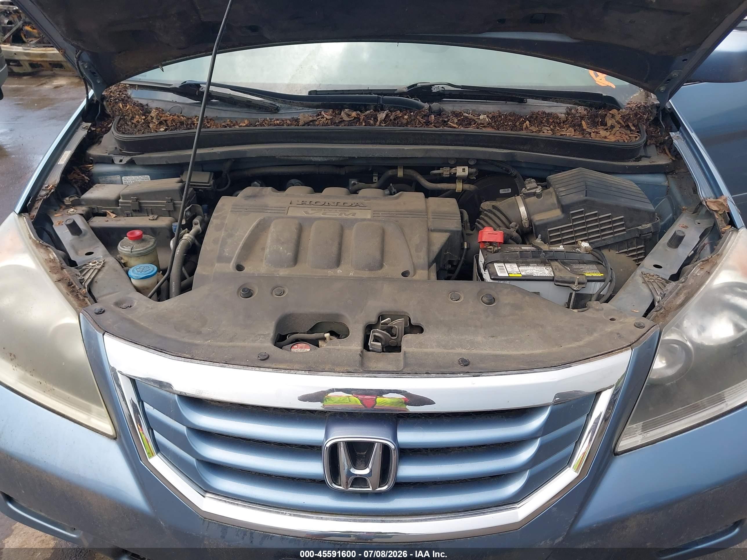 2008 Honda Odyssey Ex-l Blue vin: 5FNRL38718B094386