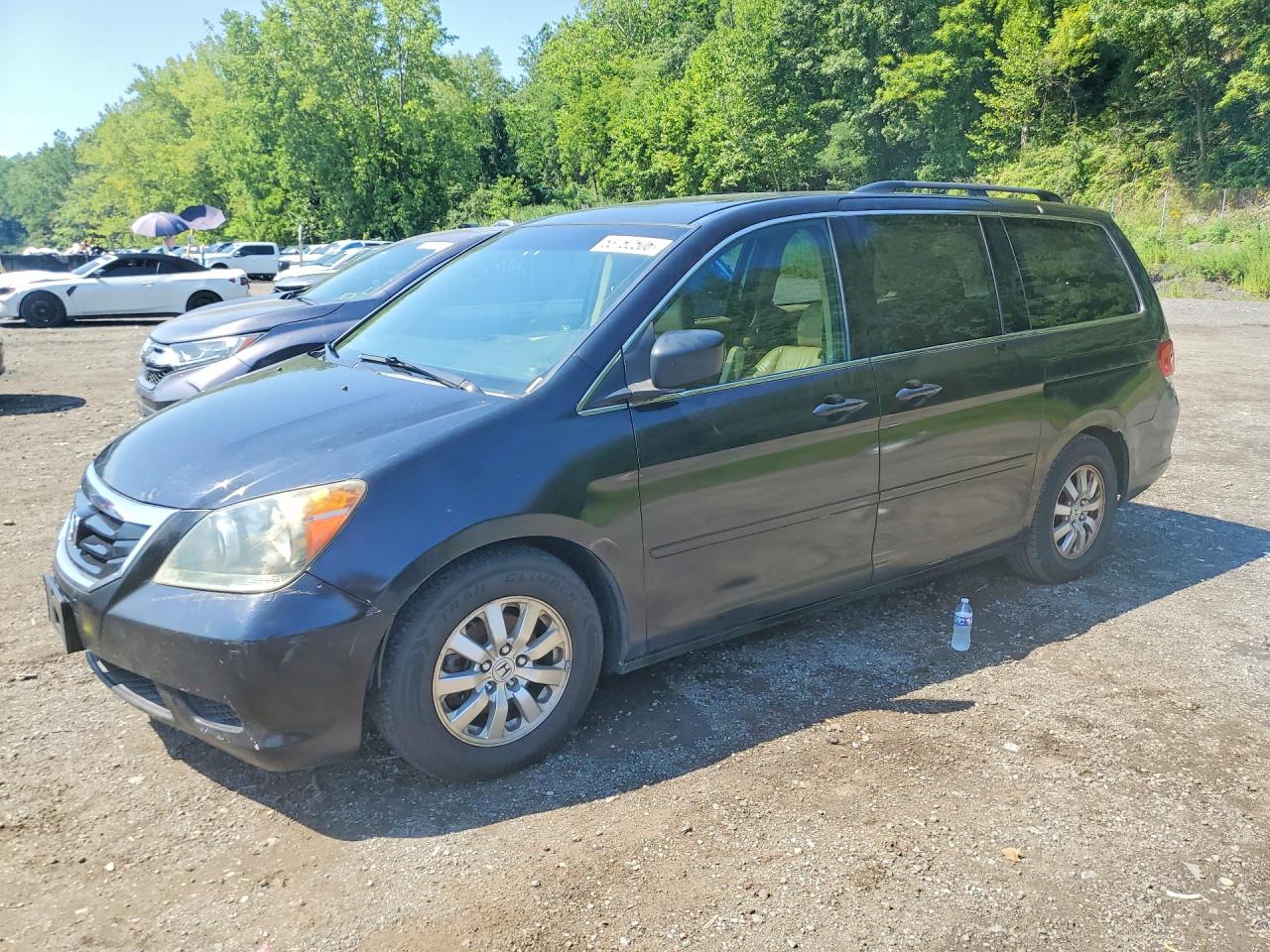 2008 Honda Odyssey Exl Black vin: 5FNRL38718B101918